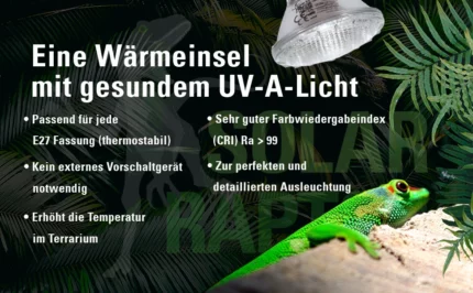 Produktdetail-Banner 2 Halogen-Spot, Art.-Nr. 00013594