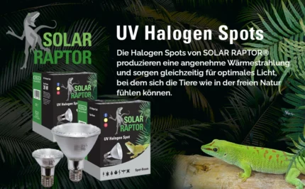 Produktdetail-Banner Halogen-Spot, Art.-Nr. 00013594