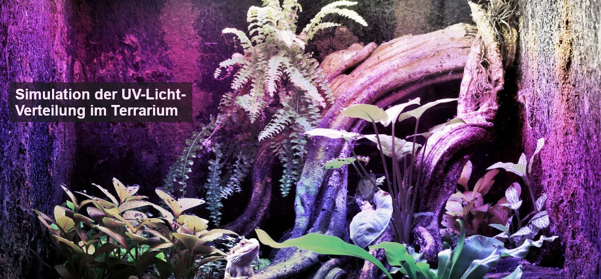 UV-Simulation im Terrarium