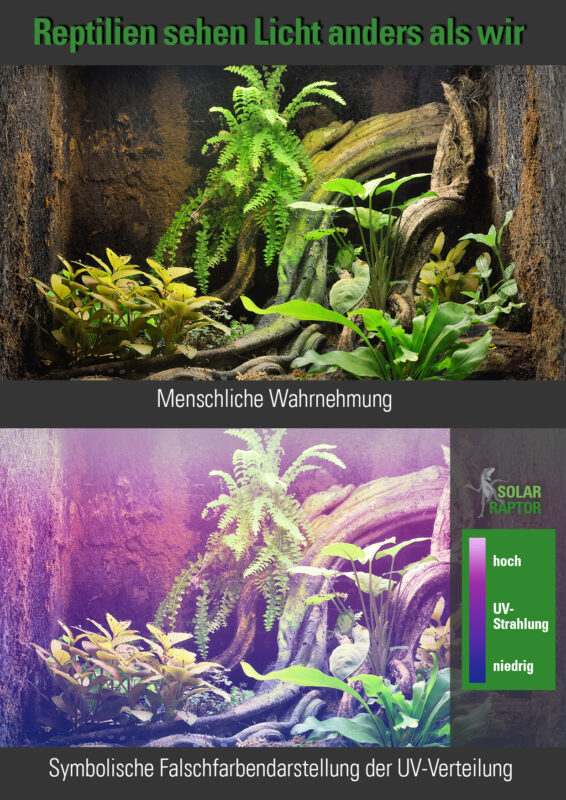 UV-Simulation Terrarium