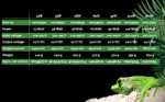 Product Overview SOLAR RAPTOR®/SOLAR STINGER® DRV2R®/SOLAR STINGER® DRV2