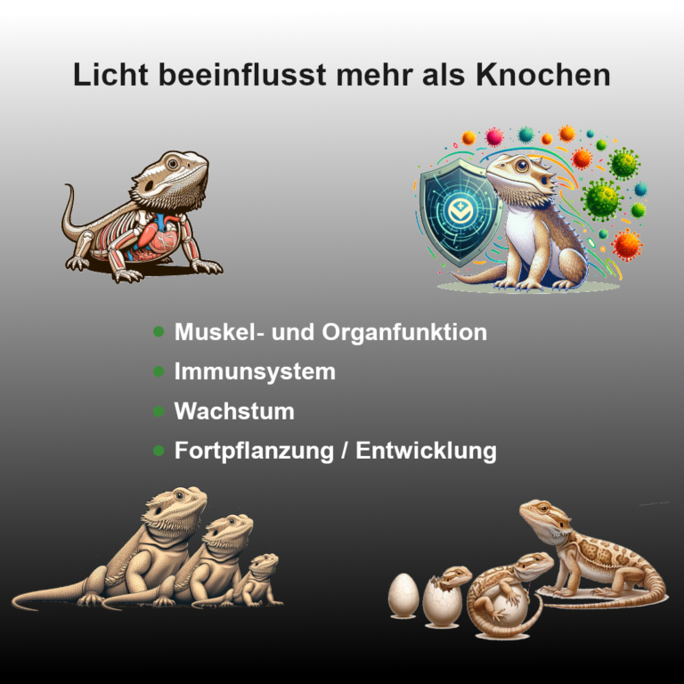 UV-Bedeutung-Reptilien-Slide 4