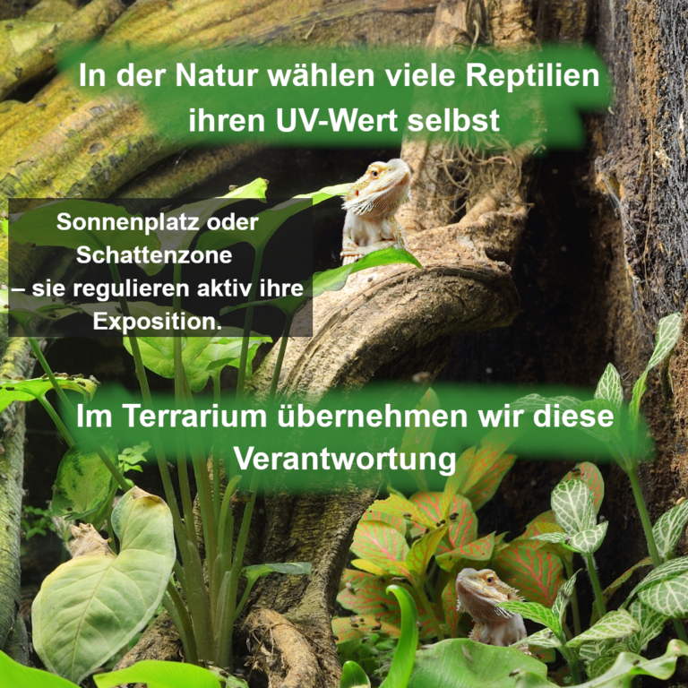 UV-Bedeutung-Reptilien-Slide 6