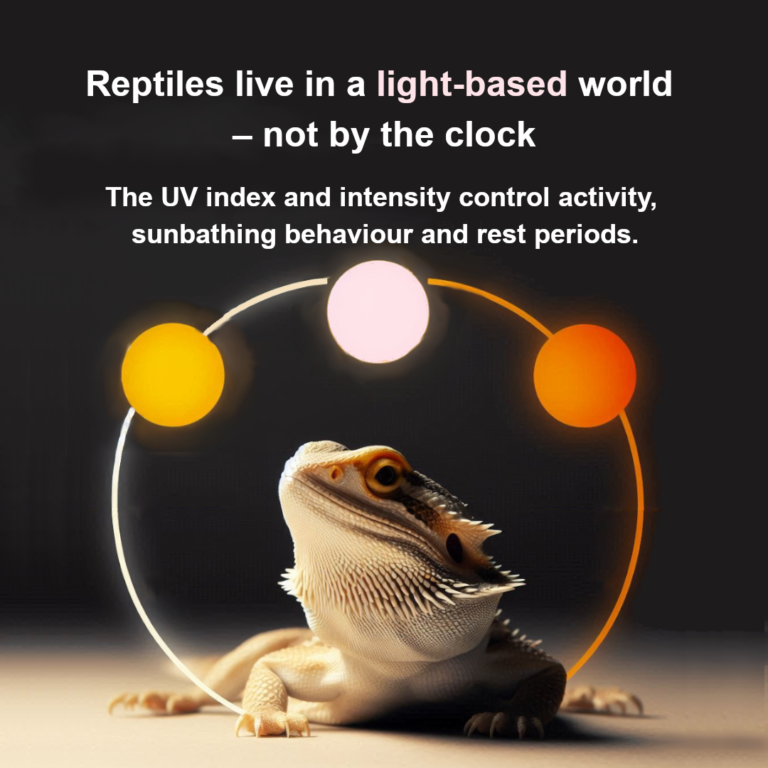 UV Significance for Reptiles Slide 5